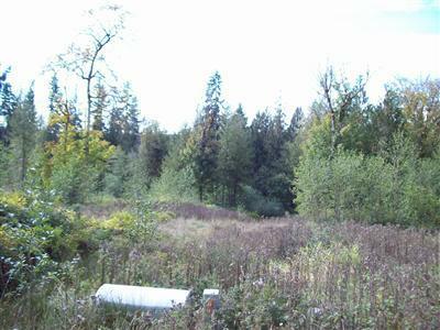 186 Rice Park Rd - Photo 1
