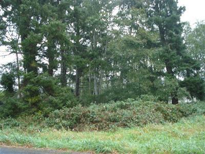 0-XX3 Birch Place - Photo 1