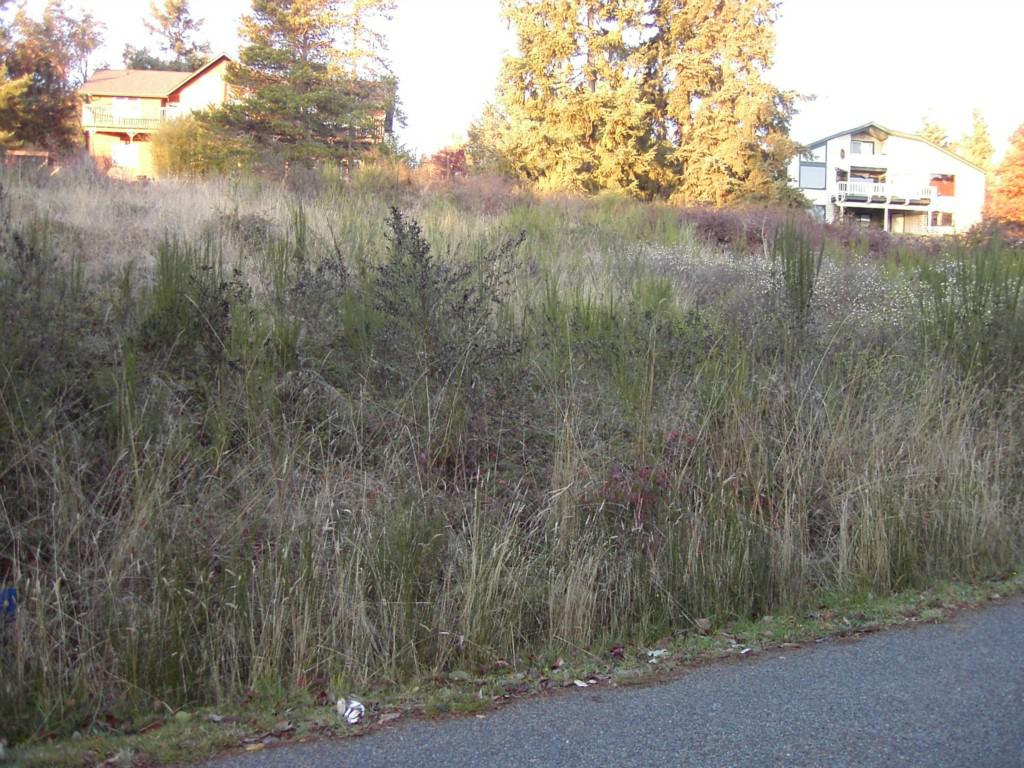 151 Combs St - Photo 1