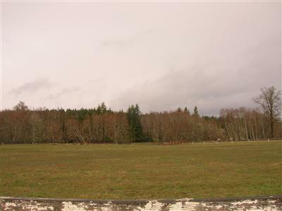 0-000 Lincoln Creek Rd - Photo 1