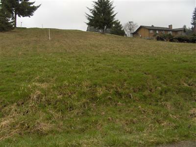 15 Delores Dr - Photo 1