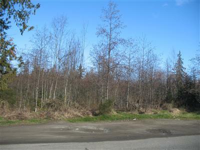18-lots Craig Ave - Photo 1