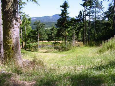 171 Trailhorse Rd - Photo 1