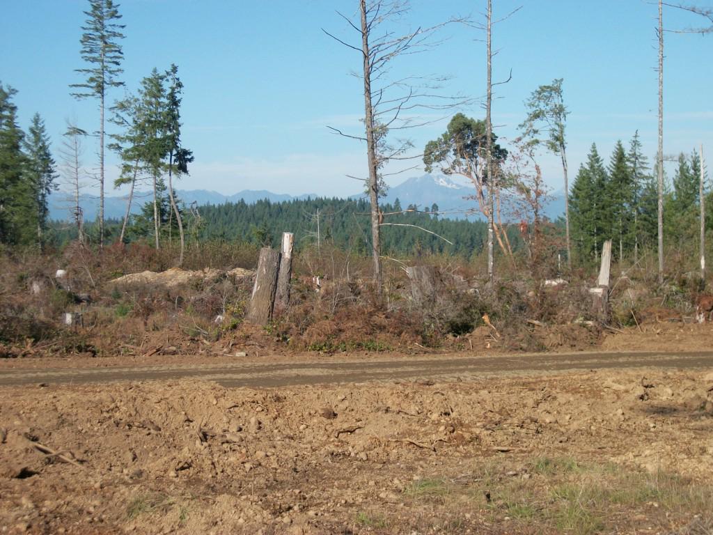 3080 Mason-Benson Rd - Photo 1