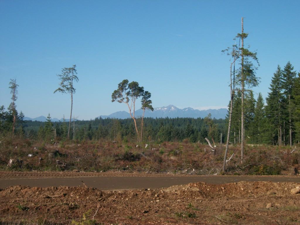 3020 Mason-Benson Rd - Photo 1