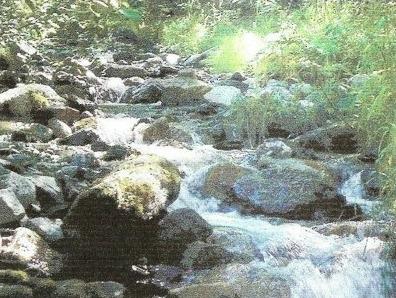 3 Cascade River Rd - Photo 1