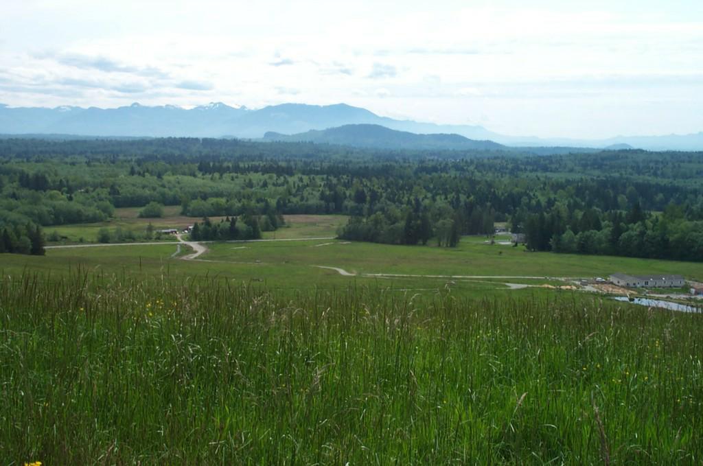 0-xxxx Fox Hollow Lane - Photo 1