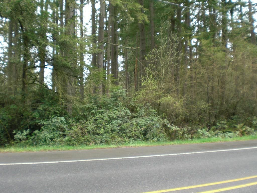 5813 Wollochet Dr - Photo 1
