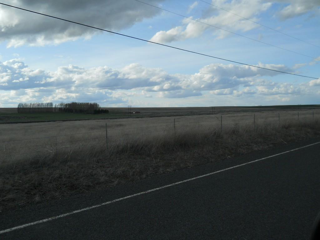 1200-- 1300 Freese Rd - Photo 1