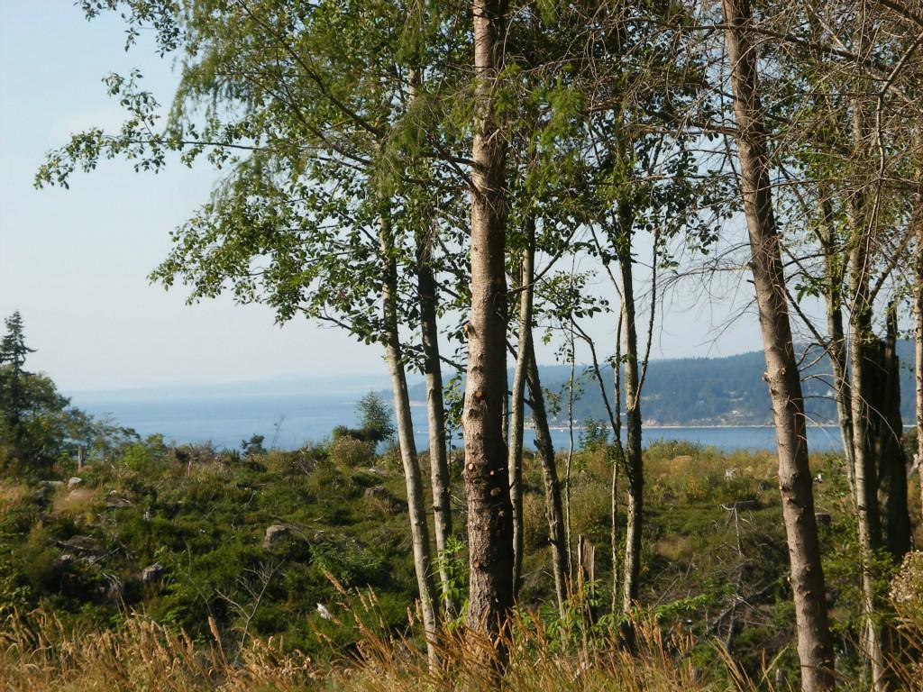 0-Lot 14 Water View Dr - Photo 1