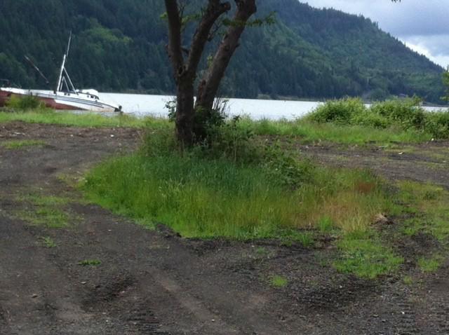 257 Little Island Rd - Photo 1