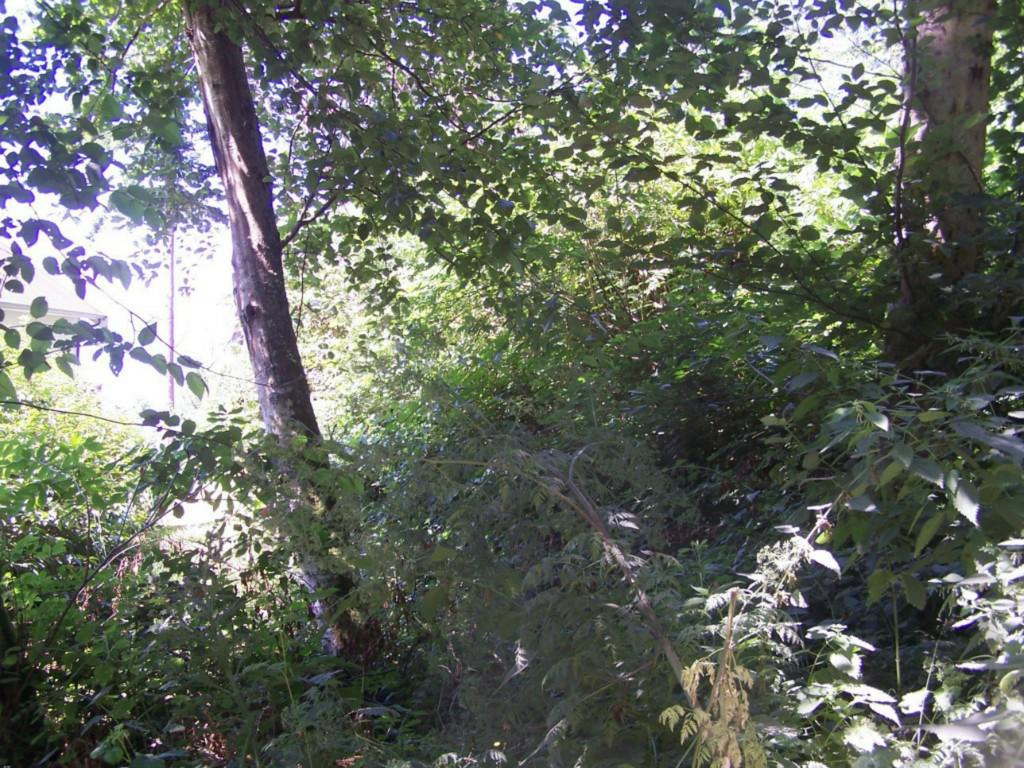 119 B Whidbey Island - Photo 1