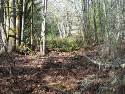 1111 Machias Loop Rd - Photo 1