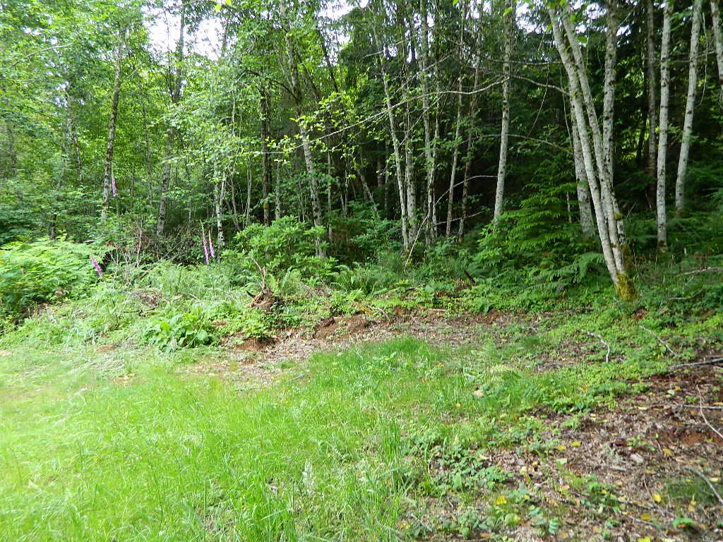 211 Hamma Ridge Dr - Photo 1