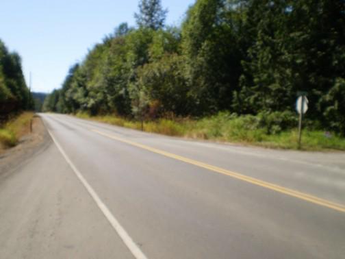 0-XXX Mox Chehalis Rd - Photo 1