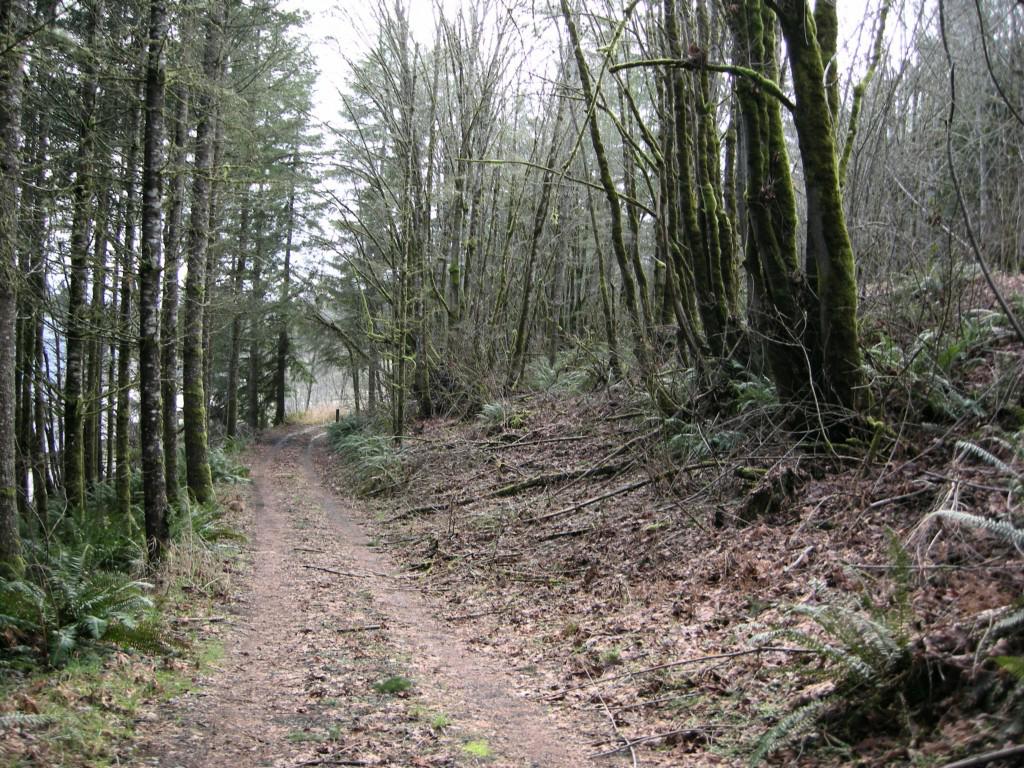0 Delphi Rd - Photo 1
