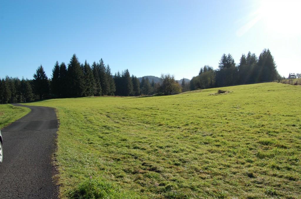 9999 Lot 24 & 21 Hwy 101 - Photo 1