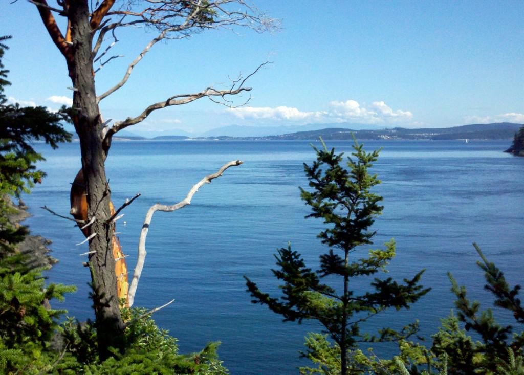0 Fauntleroy Point Dr - Lot 1 - Photo 1