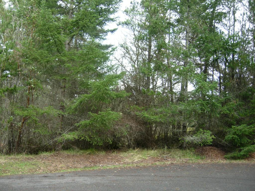 0-Lot Heather Ct - Photo 1