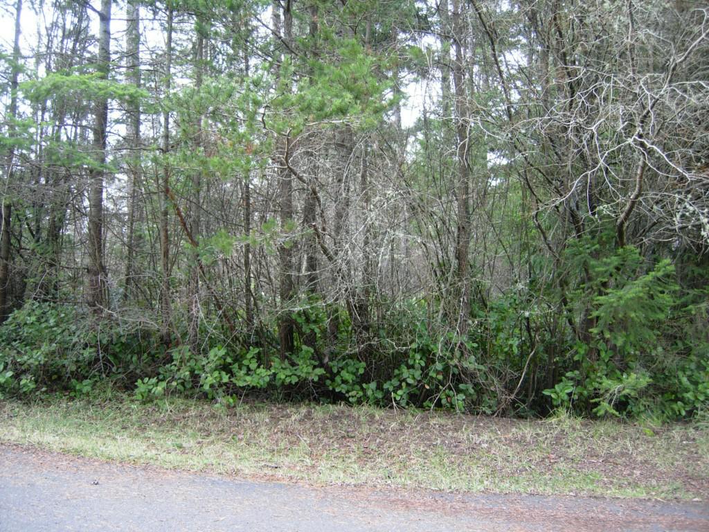 21-Lot Brock Ct - Photo 1