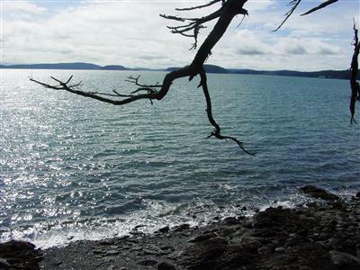 0-XX Rebe Rd - Photo 1
