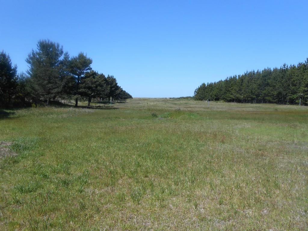 50 Ocean Beach Blvd - Photo 1