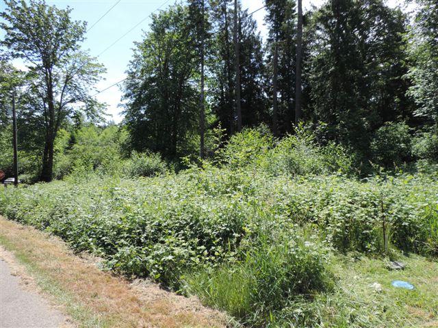 100 Hillcrest Dr - Photo 1