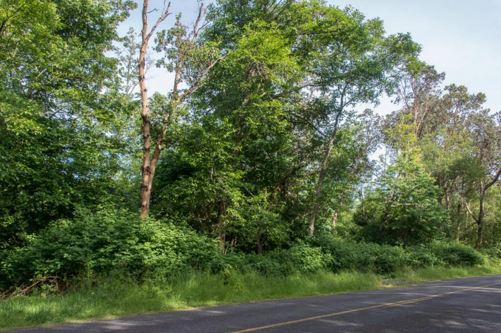 199-XX Ridge Rd - Photo 1