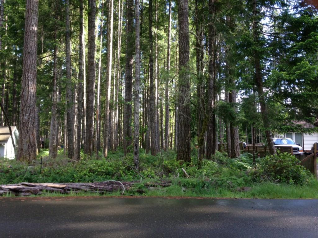 31 Coho Ct - Photo 1
