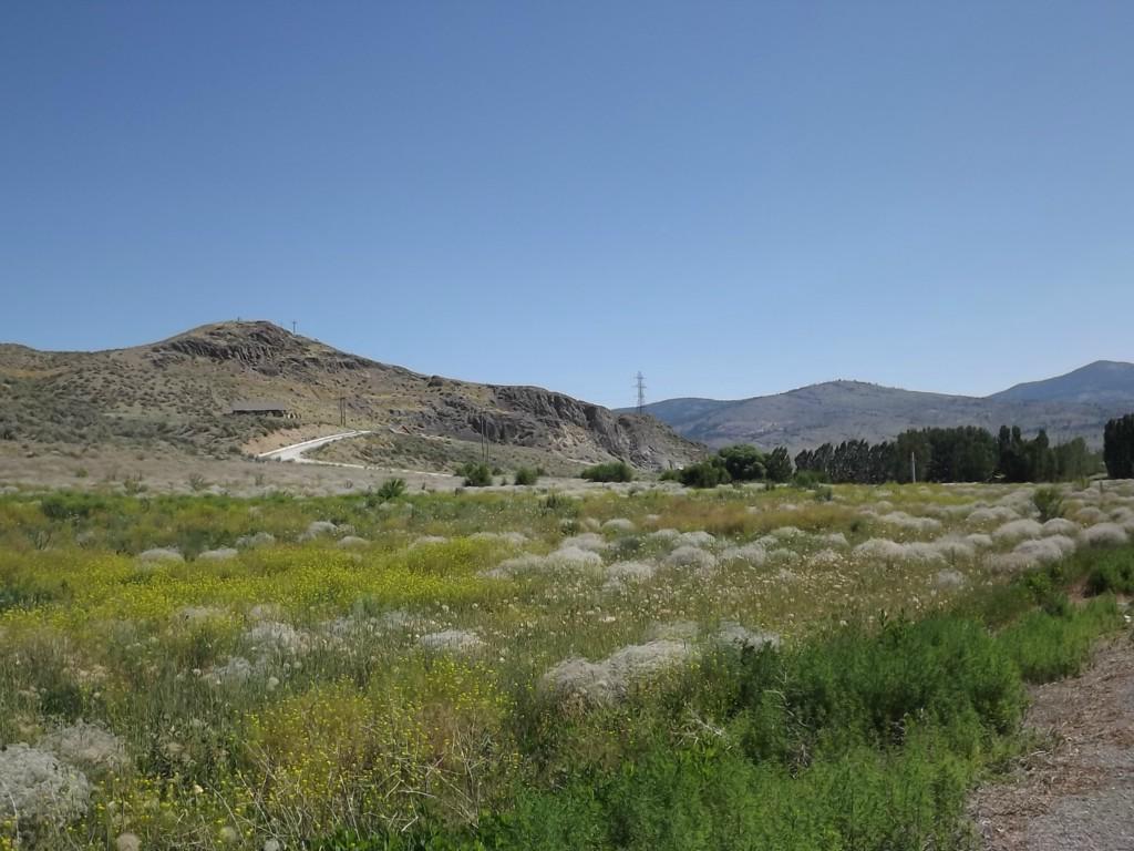 1-TBD Copple Rd - Photo 1