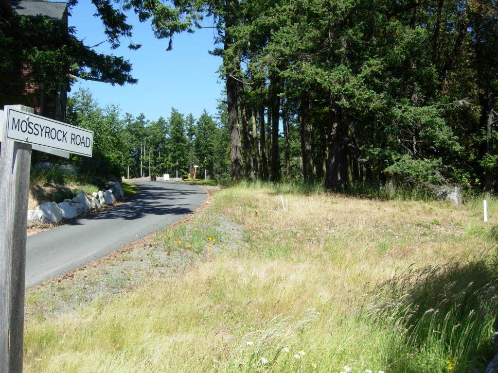 0-Lot15 16 Mossyrock Dr - Photo 1