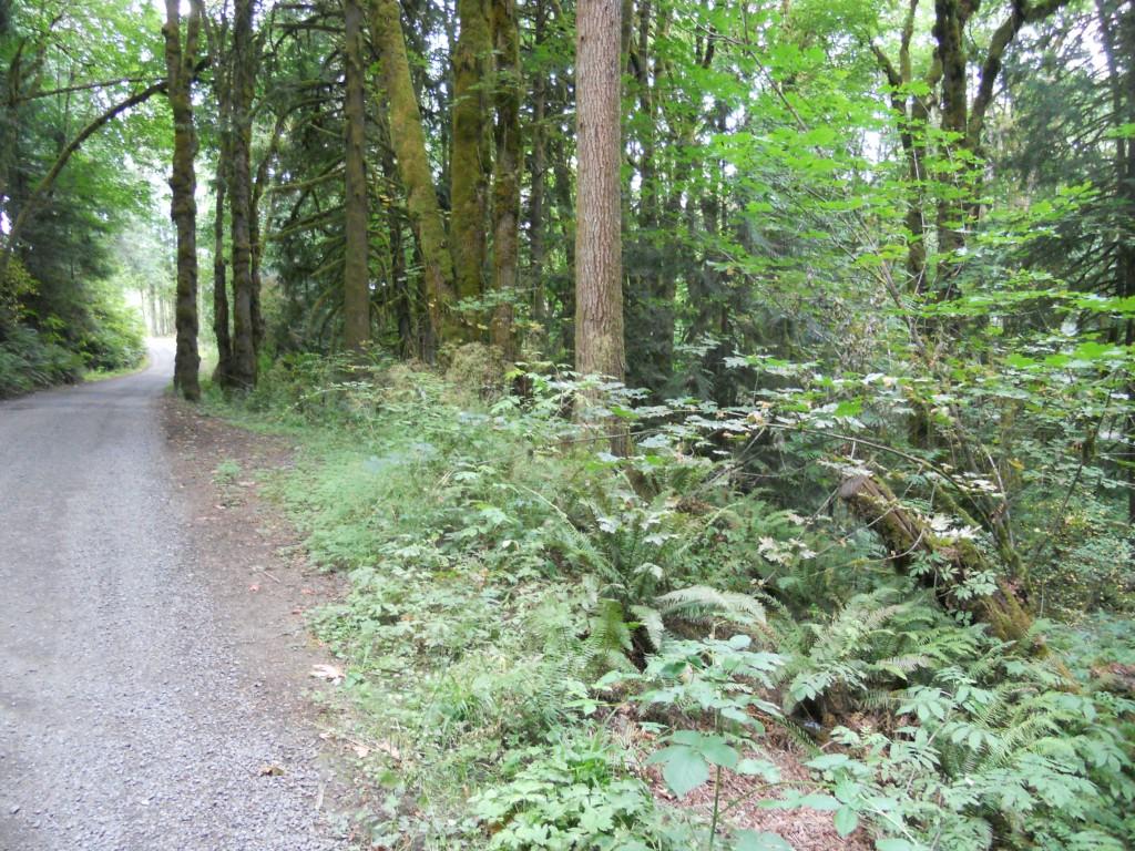 0-Lot 5 Hippie Hill Rd - Photo 1