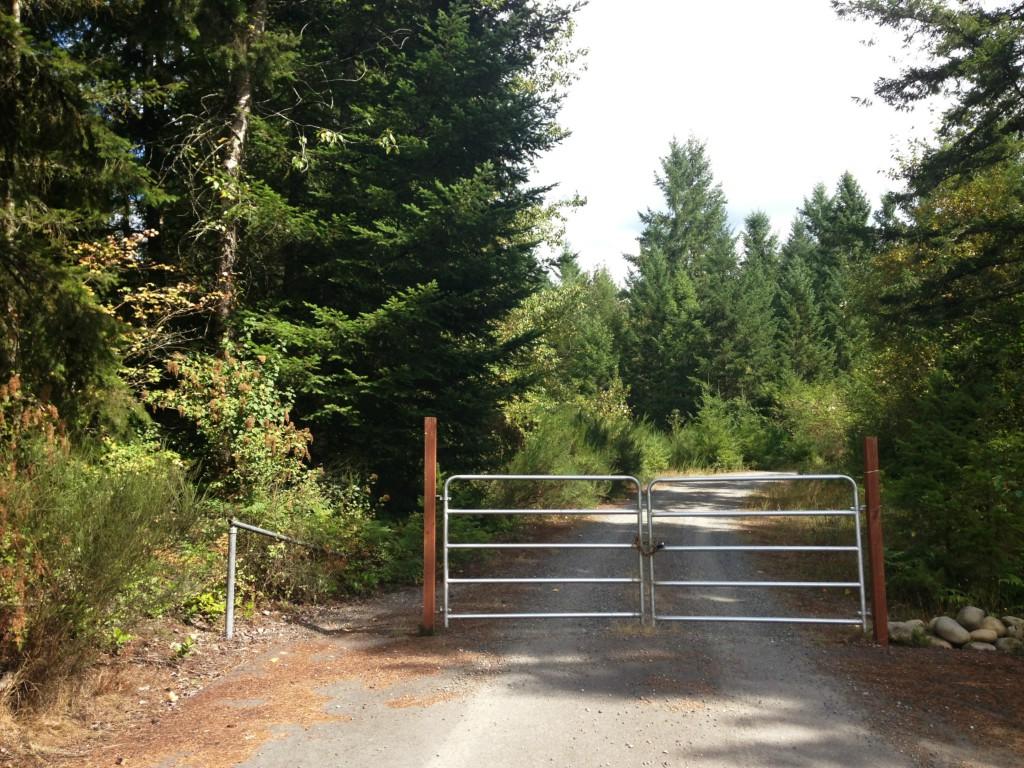 17212 Bald Hill Rd - Photo 1