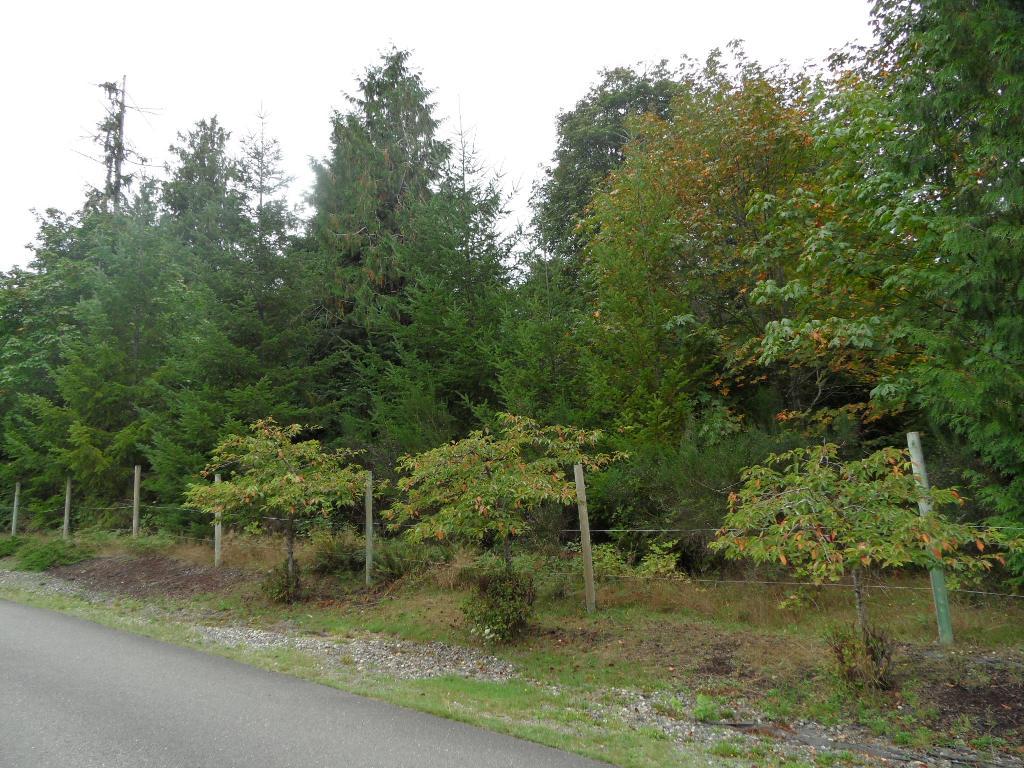 0 Lots 94 & 95 Masterson - Photo 1