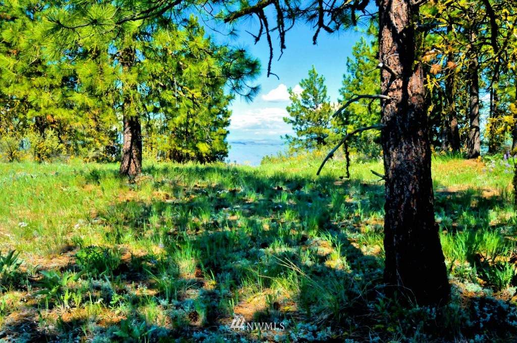 0 Cottontail Lane - Photo 1