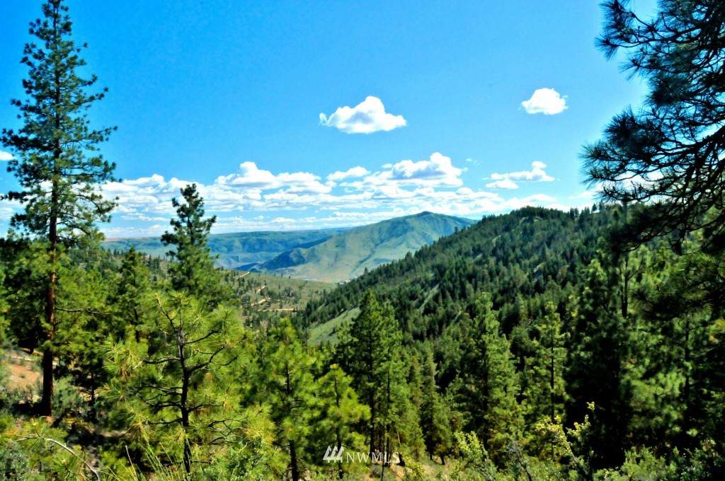 0 Lot 32 Cvh - Cottontail Lane - Photo 1