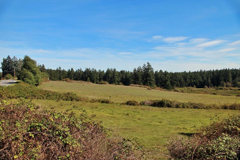 4543 Beaverton Valley Rd - Photo 1