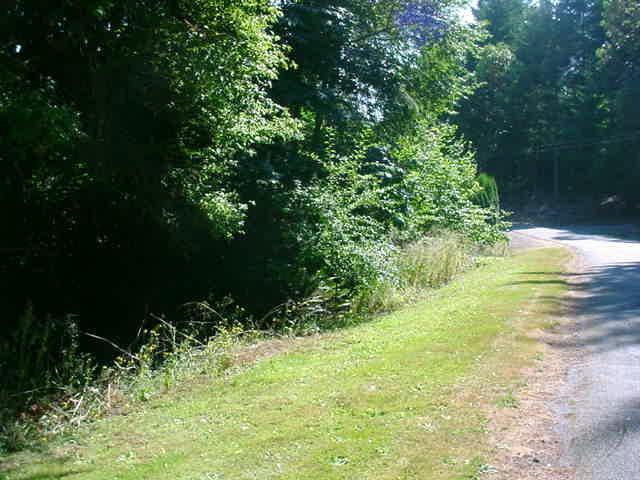 10509 Key Peninsula Hwy - Photo 1