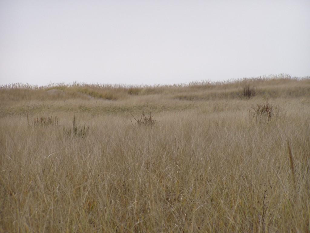 0 J Place Beachwoods - Photo 1