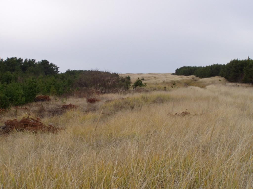 0 13th South St - Photo 1