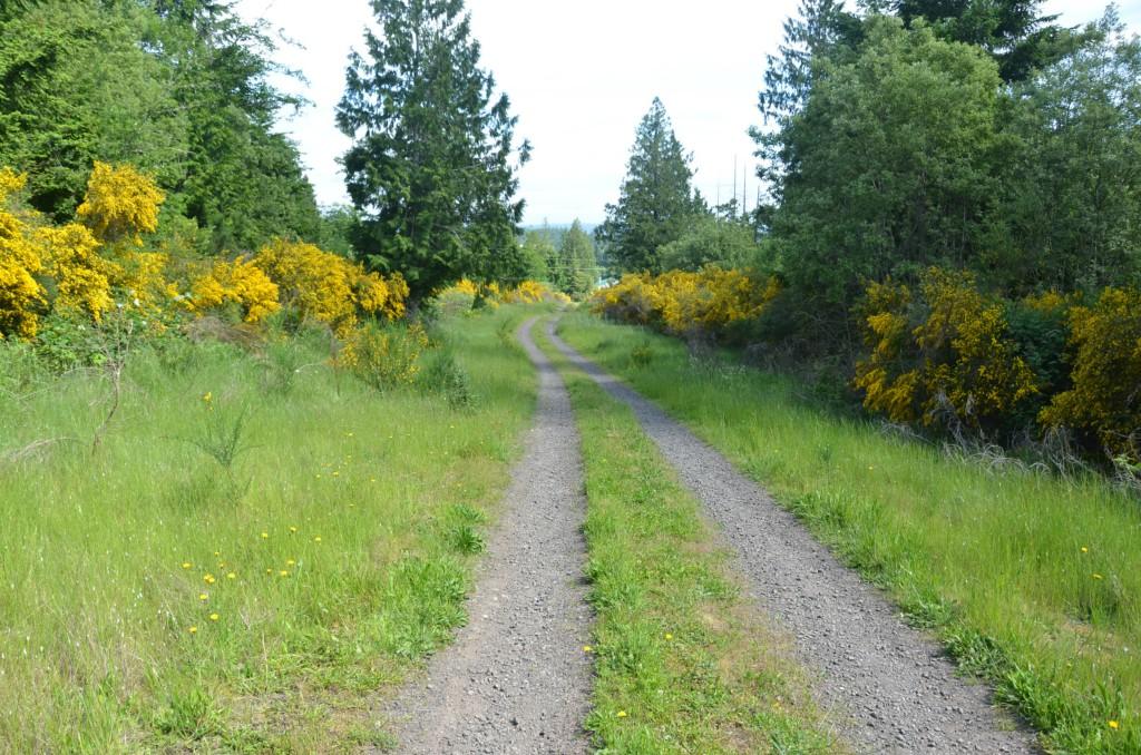 0-71.5 ac Werner Rd - Photo 1