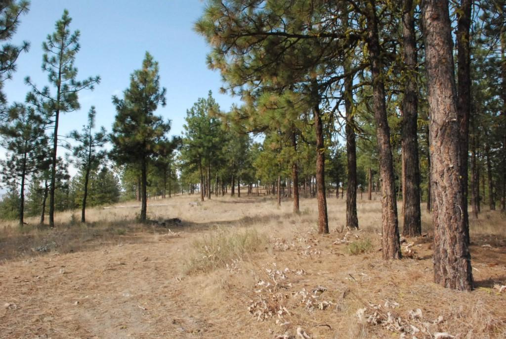 0-NNA Cottontail Lane - Photo 1