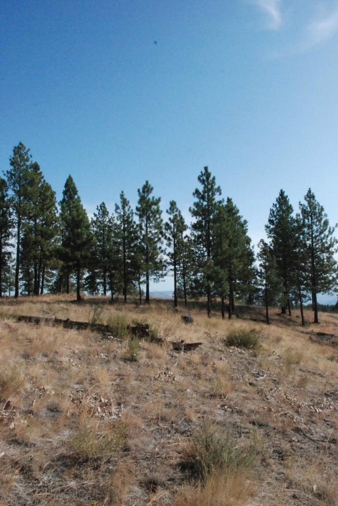 0-NNA Cottontail Lane - Photo 1