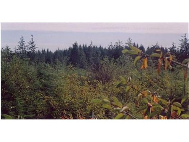 0 Xxx 5th Ave & Sr 109 - Photo 1