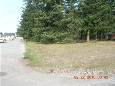 20040 Sunrose Lane - Photo 1