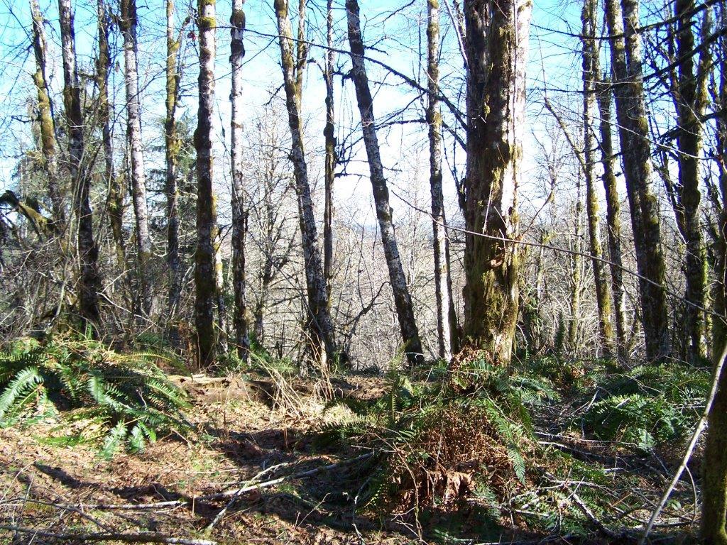 5-Lot Reller Rd - Photo 1
