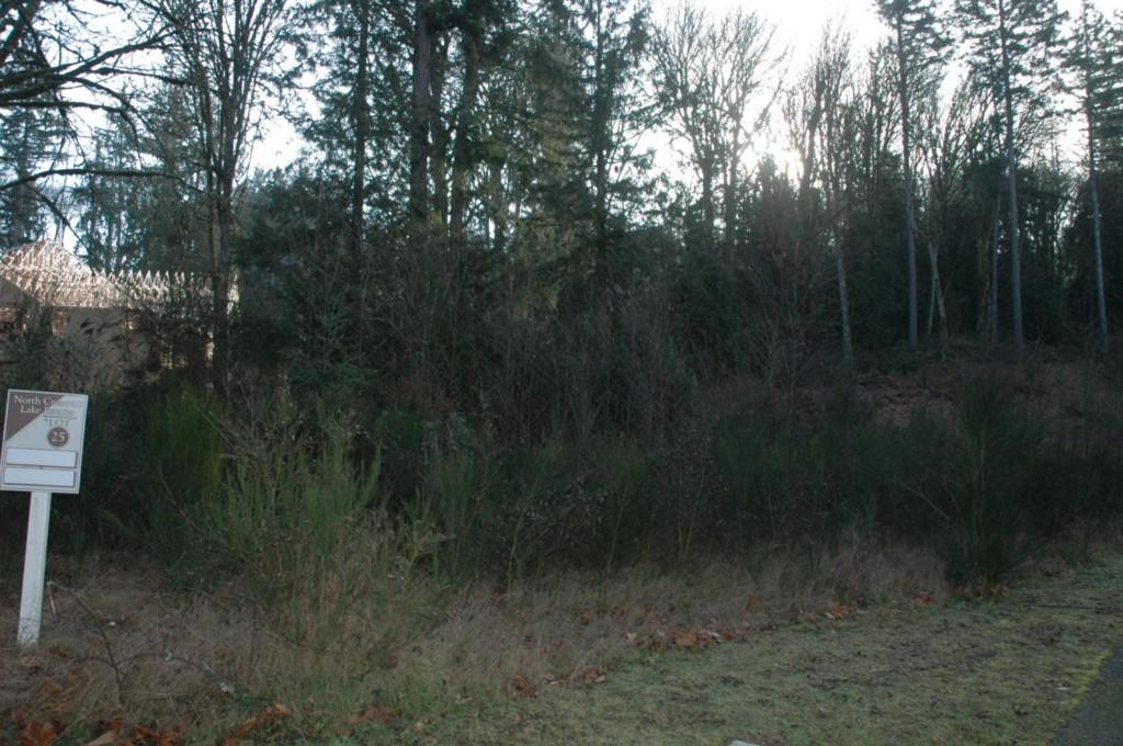 1702 151st St Ct - Photo 1