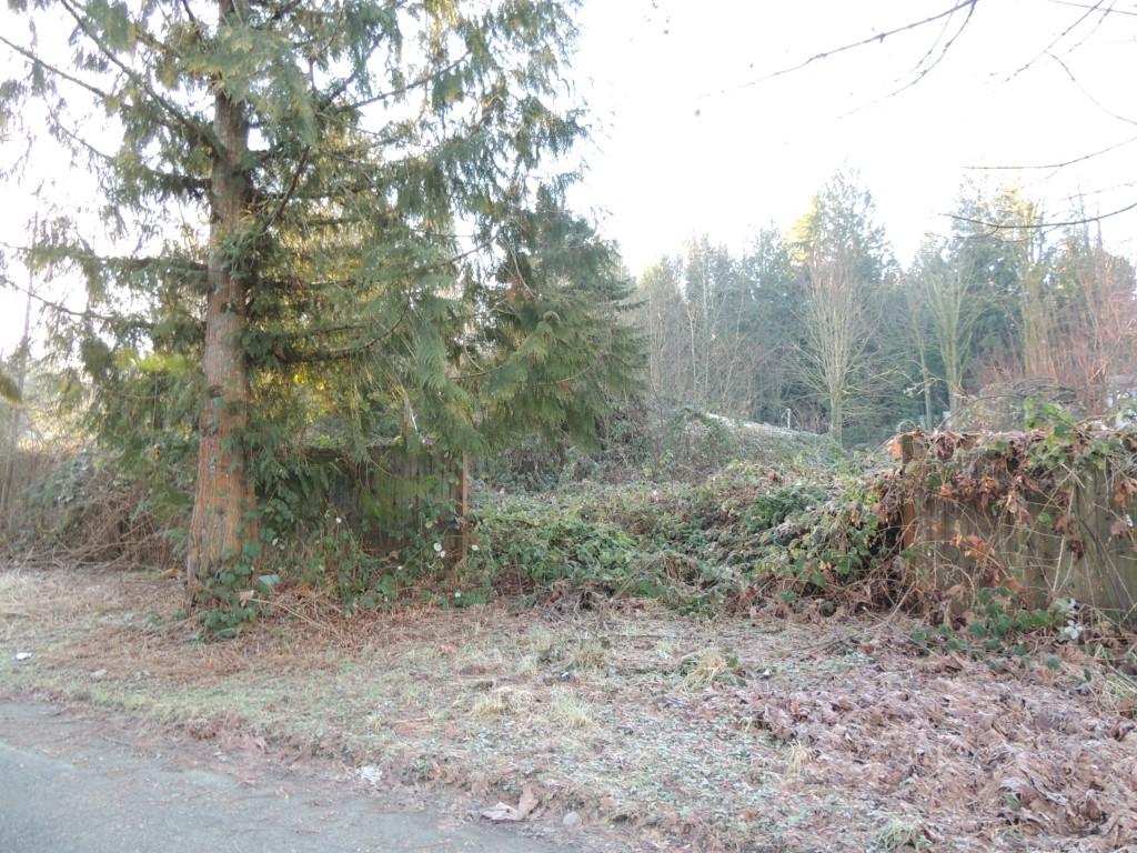 41822-lot17&18 Cape Horn Dr - Photo 1