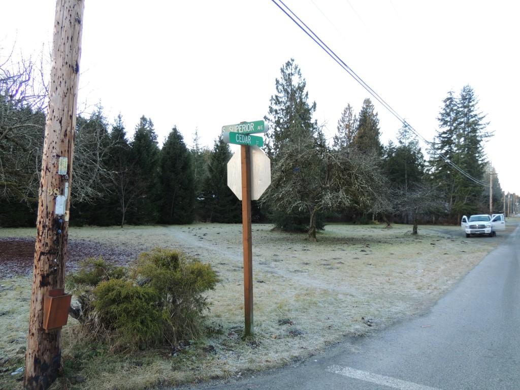 0-Lot 12 Cedar St - Photo 1