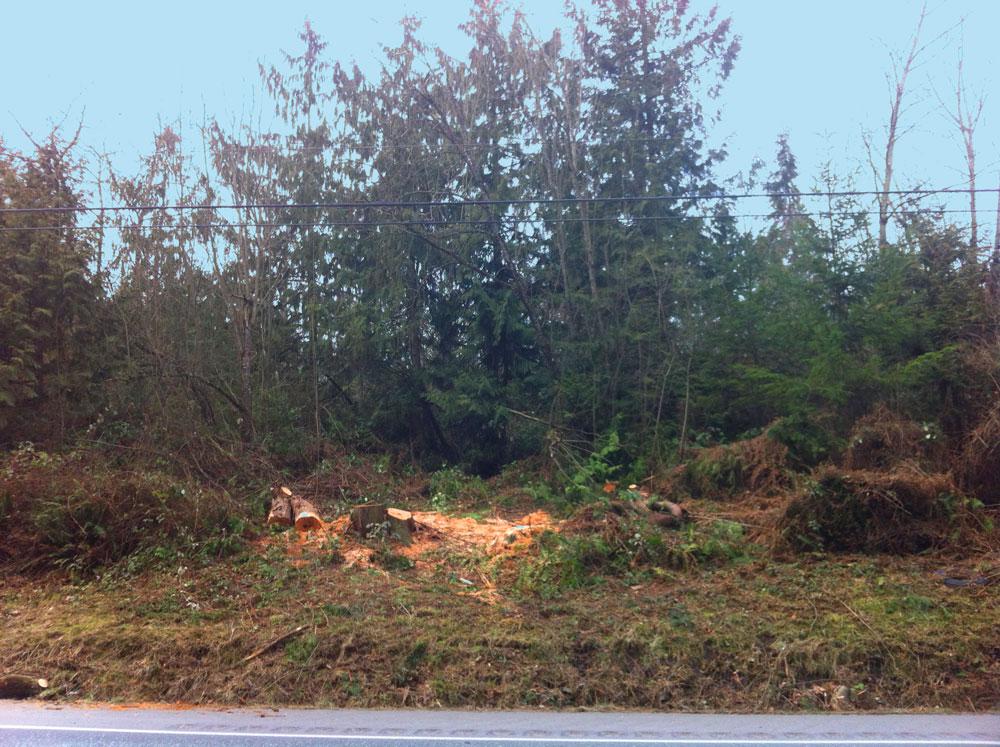 0-NHN East Camano Dr - Photo 1
